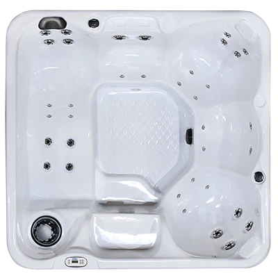 Hawaiian PZ-636L hot tubs for sale in Milldale Southington